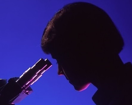 labs in lupus looking through a microscope