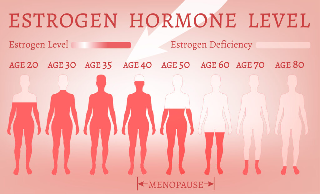 estrogen levels by age in women and lupus from puberty to menopause