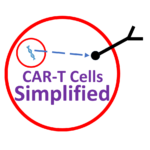 CAR-T Cell Therapy For Lupus Made Simple (2024 UPDATE)
